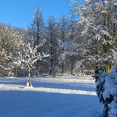 Skont Hus Pa Landet Taet Pa Billund Villa Give Dış mekan fotoğraf