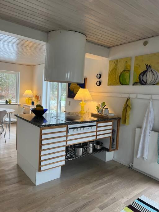 Skont Hus Pa Landet Taet Pa Billund Villa Give Dış mekan fotoğraf