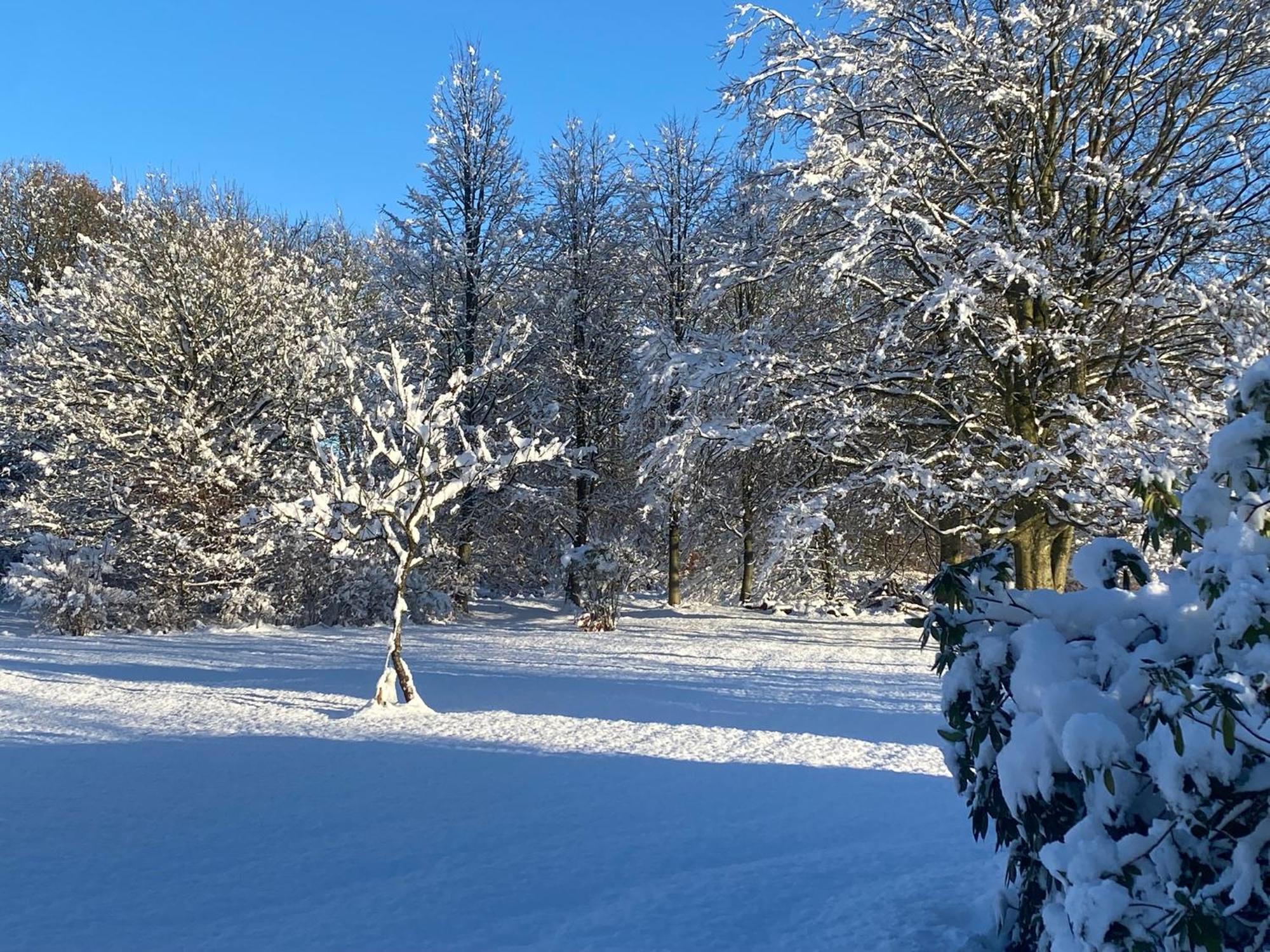 Skont Hus Pa Landet Taet Pa Billund Villa Give Dış mekan fotoğraf